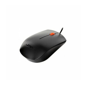 Lenovo 300 USB Mouse (GX30M39704)