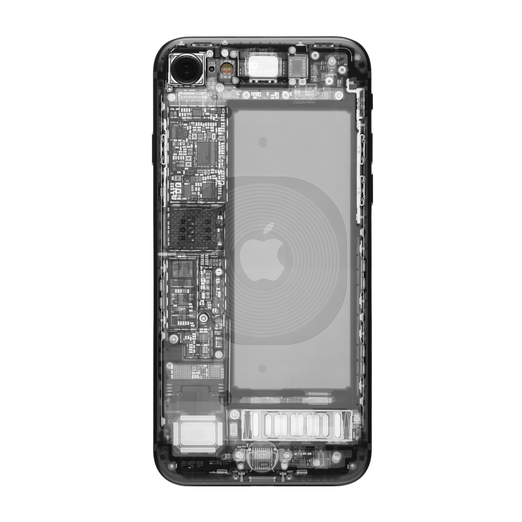Apple iPhone SE (2020, Gen 2) X-Ray Skin